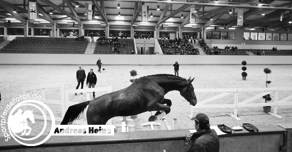 Gala - 1. Hallenchampionat Prussendorf